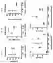 Fig. 04 - In vitro methods of differentiating stem cells into neurons and neurons generated using the same