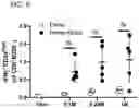 Fig. 09 - Delivery of biomolecules to PBMCs to modify an immune response