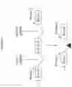 Fig. 16 - Genetically engineered hematopoietic stem cells and uses thereof