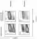 Fig. 10 - Process for generation, identification and isolation of human pluripotent stem cell-derived cardiomyocytes and cardiomyocyte subpopulations