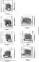 Fig. 17 - Process for generation, identification and isolation of human pluripotent stem cell-derived cardiomyocytes and cardiomyocyte subpopulations