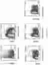 Fig. 19 - Process for generation, identification and isolation of human pluripotent stem cell-derived cardiomyocytes and cardiomyocyte subpopulations