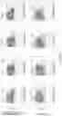 Fig. 24 - Process for generation, identification and isolation of human pluripotent stem cell-derived cardiomyocytes and cardiomyocyte subpopulations