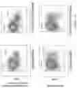 Fig. 27 - Process for generation, identification and isolation of human pluripotent stem cell-derived cardiomyocytes and cardiomyocyte subpopulations