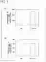 Fig. 02 - Reagent for differentiating somatic cells into alveolar epithelial cells, and use of said reagent
