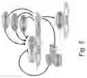 Fig. 06 - Method to reproduce circadian rhythms on a microfluidic chip