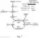 Fig. 08 - Method to reproduce circadian rhythms on a microfluidic chip
