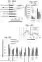 Fig. 14 - Method to reproduce circadian rhythms on a microfluidic chip
