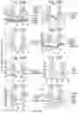 Fig. 26 - Method to reproduce circadian rhythms on a microfluidic chip