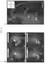 Fig. 05 - ACTIVITY-DEPENDENT EXPRESSION CONSTRUCTS AND METHODS OF USING THE SAME