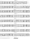 Fig. 04 - VECTORS WITH PROMOTER AND ENHANCER COMBINATIONS FOR TREATING PHENYLKETONURIA