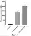 Fig. 16 - VECTORS WITH PROMOTER AND ENHANCER COMBINATIONS FOR TREATING PHENYLKETONURIA