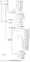 Fig. 05 - Methods of predicting ancestral virus sequences and uses thereof