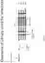 Fig. 03 - Compositions for linking DNA-binding domains and cleavage domains