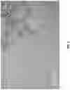 Fig. 03 - Nanoparticles to Modulate Transcription-Translation Systems