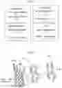 Fig. 02 - Polypeptide display libraries and methods of making and using thereof