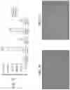 Fig. 06 - Polypeptide display libraries and methods of making and using thereof