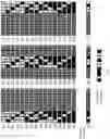 Fig. 03 - STEREODEFINED SUB-MOTIF OPTIMISATION METHODS