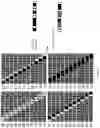 Fig. 06 - STEREODEFINED SUB-MOTIF OPTIMISATION METHODS