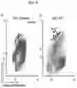 Fig. 41 - Micro-screening Apparatus, Process, and Products
