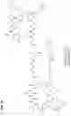 Fig. 30 - POLYNUCLEOTIDE CONJUGATES AND USES THEREOF
