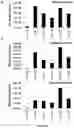 Fig. 03 - Regulatory nucleic acid molecules for enhancing constitutive gene expression in plants