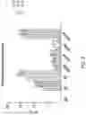 Fig. 09 - METHODS AND COMPOSITIONS FOR INSERTION OF ANTIBODY CODING SEQUENCES INTO A SAFE HARBOR LOCUS