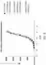 Fig. 11 - METHODS AND COMPOSITIONS FOR INSERTION OF ANTIBODY CODING SEQUENCES INTO A SAFE HARBOR LOCUS
