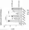 Fig. 25 - METHODS AND COMPOSITIONS FOR INSERTION OF ANTIBODY CODING SEQUENCES INTO A SAFE HARBOR LOCUS