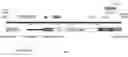 Fig. 01 - CONSTRUCTS COMPRISING NEURONAL VIABILITY FACTORS AND USES THEREOF