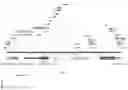 Fig. 05 - CONSTRUCTS COMPRISING NEURONAL VIABILITY FACTORS AND USES THEREOF
