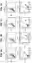 Fig. 02 - METHODS AND COMPOSITIONS FOR INCREASING RNA ACTIVITY IN A CELL