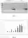 Fig. 13 - Methods for detecting target analytes using synthetic biological circuits that modify glucose levels in a cell-free system