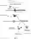 Fig. 15 - Methods for detecting target analytes using synthetic biological circuits that modify glucose levels in a cell-free system