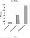 Fig. 06 - Quantitative assessment for cap efficiency of messenger RNA
