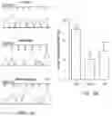 Fig. 04 - Multiplexed Screening