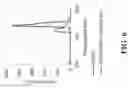 Fig. 08 - UPCONVERSION NANOPARTICLE-BASED MOLECULAR PROBES AND METHODS OF USE