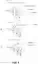 Fig. 10 - Methods and systems for nucleic acid sequencing