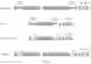 Fig. 149 - NOVEL CRISPR ENZYMES AND SYSTEMS