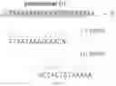 Fig. 271 - NOVEL CRISPR ENZYMES AND SYSTEMS