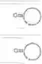 Fig. 265 - CRISPR enzymes and systems