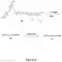 Fig. 10 - FRET-labeled compounds and uses therefor