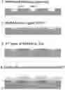 Fig. 01 - Methods and arrays for producing and sequencing monoclonal clusters of nucleic acid