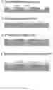 Fig. 02 - Methods and arrays for producing and sequencing monoclonal clusters of nucleic acid