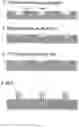 Fig. 06 - Methods and arrays for producing and sequencing monoclonal clusters of nucleic acid