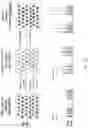 Fig. 22 - Methods and arrays for producing and sequencing monoclonal clusters of nucleic acid