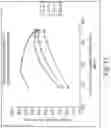 Fig. 30 - Methods and arrays for producing and sequencing monoclonal clusters of nucleic acid