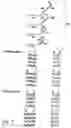Fig. 04 - METHODS FOR IDENTIFYING NUCLEOTIDES IN TARGET SEQUENCES