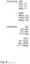 Fig. 05 - METHODS FOR IDENTIFYING NUCLEOTIDES IN TARGET SEQUENCES