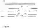 Fig. 07 - METHODS FOR IDENTIFYING NUCLEOTIDES IN TARGET SEQUENCES
